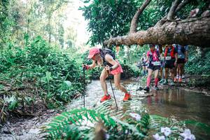 BIB: 
                            <button type="button" onclick="openModal(25454039)" class="btn btn-primary btn-sm float-right btn-popup" data-toggle="modal" data-target=".modal-high-quality">
                        <i class="fas fa-shopping-cart"></i> Add to Cart
                    </button>
                                            <button type="button" onclick="isThisMe(25454039, true)" class="btn btn-success btn-sm float-right btn-popup btn-isme hidden" data-toggle="tooltip" data-placement="bottom" title="นี่คือรูปของคุณใช่ไหม คลิกที่นี่เพื่อเอาเข้าอัลบั้ม">
                        <i class="fas fa-plus"></i> Add to album
                    </button>
                    <button type="button" onclick="isThisMe(25454039, false)" class="btn btn-warning btn-sm float-right btn-popup btn-isnotme hidden">
                        <i class="fas fa-ban"></i> Remove from album
                    </button>